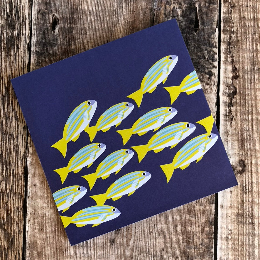 Pop Up 3D School of Fish Card by Two To Tango