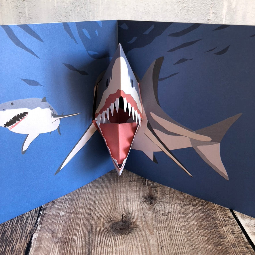 Pop Up 3D Shark Card by Two To Tango