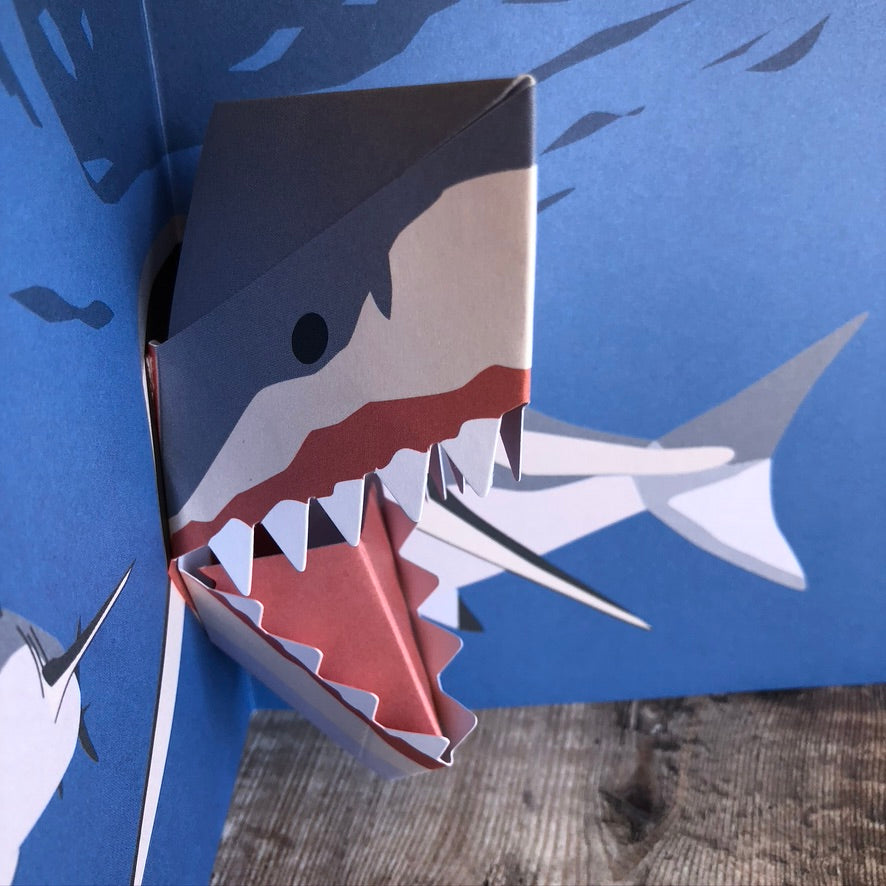 Pop Up 3D Shark Card by Two To Tango
